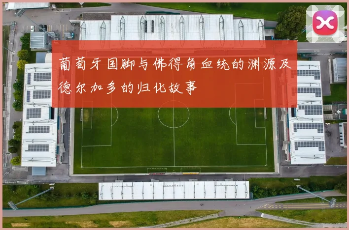 葡萄牙国脚与佛得角血统的渊源及德尔加多的归化故事