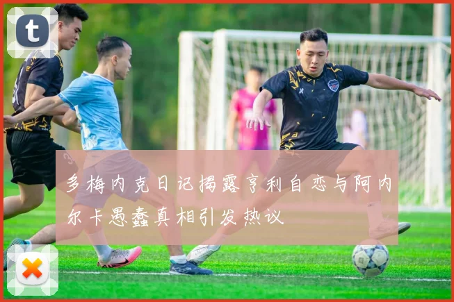 多梅内克日记揭露亨利自恋与阿内尔卡愚蠢真相引发热议